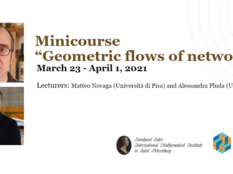 Minicourse “Geometric flows of networks”