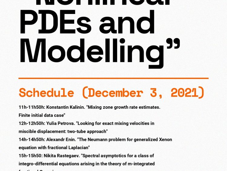 Workshop “Nonlinear PDEs and Modelling”