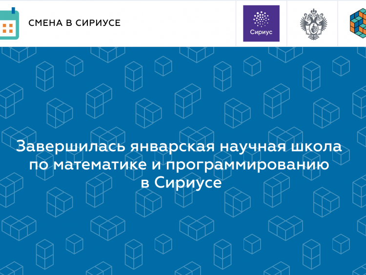 Завершилась январская научная школа по математике и программированию в Сириусе